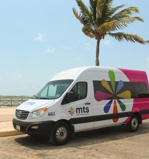 一辆白色货车停在棕榈树旁