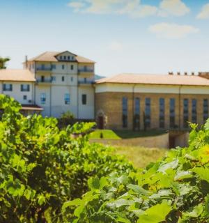 位于灌木丛生的田野中央的建筑物