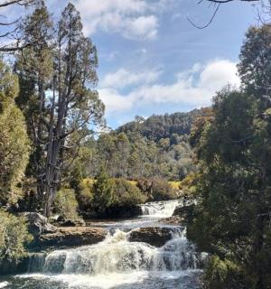 a waterfall in the middle of a river with trees