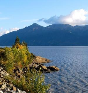 vlak na kolejích vedle vodní plochy