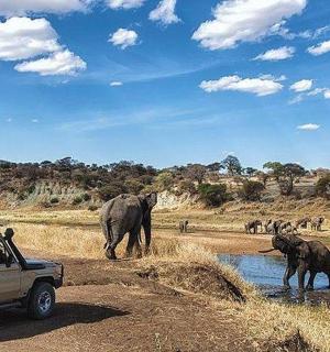a group of elephants crossing a river with a vehicle