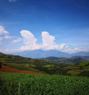 a view of auliculiculiculiculiculiculiculiculiculiculiculic