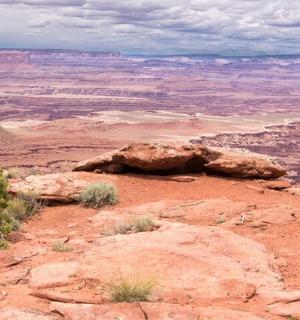 a view of the grand canyon from the rim