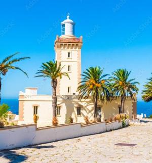 海滩上的一座灯塔,上面种着棕榈树 库存照片