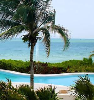 游泳池旁边的一棵棕榈树，与大海相连