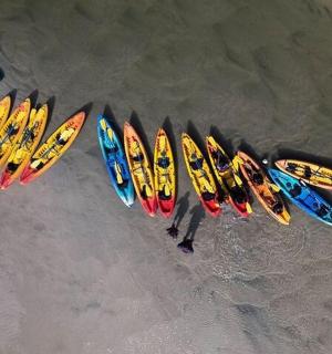 沙滩上排列着一组冲浪板