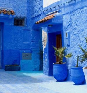 一座蓝色的建筑，里面有三个蓝色的花盆，里面种着植物