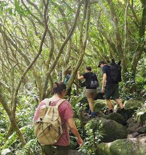 skupina ljudi, ki hodijo po poti v gozdu
