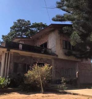 an old house with a tree in front of it