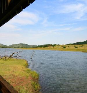 从房子里看到的河景