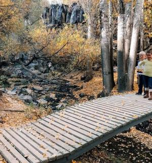 dua budak lelaki berdiri di atas jambatan kayu di dalam hutan