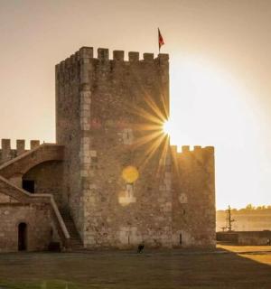 טירה עם דגל על ראשה