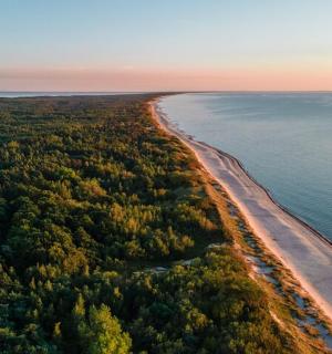 an aerial view of a beach and the ocean