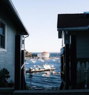 a view of a harbor with boats in the water