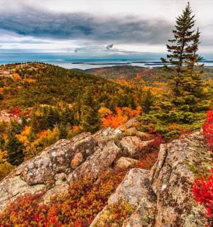 秋天树木繁茂的山景
