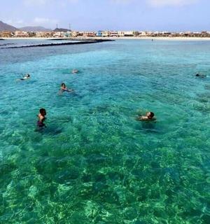 一群人在海里游泳