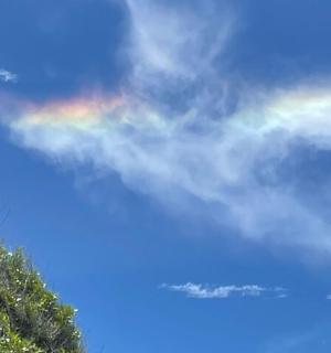 a rainbow in the sky with a tree
