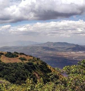a view of a hill with trees and mountains