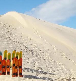 a group of skis lined up in the sand