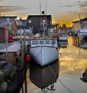 一群船停靠在港口