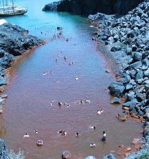 eine Gruppe von Menschen, die in einem Fluss mit Steinen schwimmen