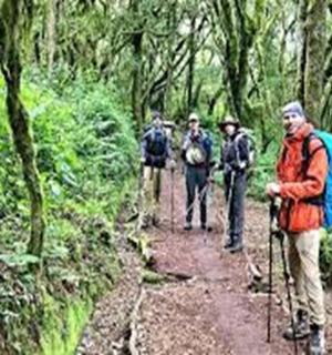 a group of people walking on a trail in the forest