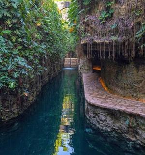 a narrow canal with green water and plants on the side
