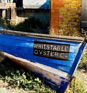 一艘蓝色的小船停在房子旁边的草地上