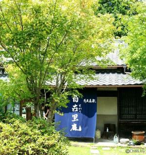 a building with a tree in front of it
