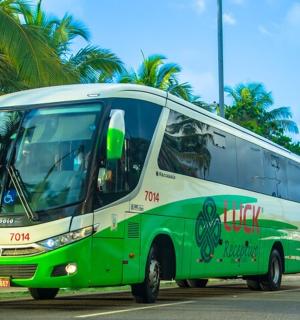 一辆绿白相间的巴士在街上行驶