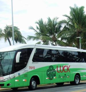 a green and white bus parked on the side of a street