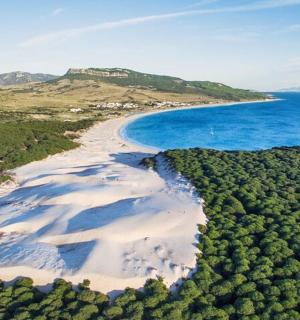 an aerial view of a beach and the ocean