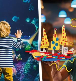 一个男人、一个女人和一个孩子在玩生日蛋糕