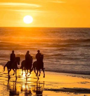 日落时分，三人在海滩上骑马