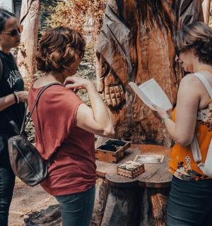 三位女士站在一幅树的画前