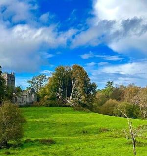 一片郁郁葱葱的绿色田野，天空中悬挂着彩虹