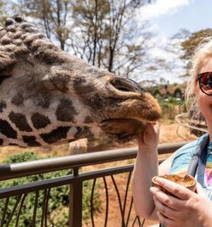 a woman feeding a giraffe at a zoo
