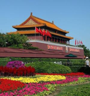 建筑物前的花园