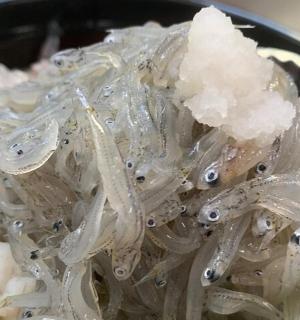 a bowl of food with onions and lettuce