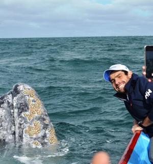 a man taking a picture of a dolphin in the water