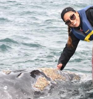a woman standing in the water next to a dead whale