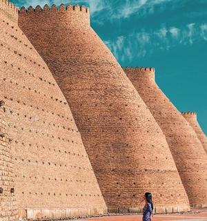 一位女士站在一堵大砖墙前