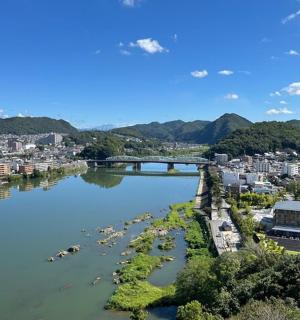 bir şehir ve köprünün bulunduğu bir nehrin görünümü