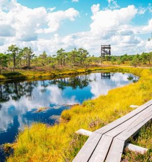 dřevěný most přes řeku v poli