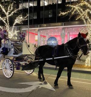 a horse drawn carriage on a street with christmas lights