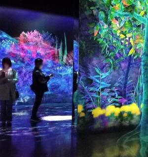 一群人站在展览前