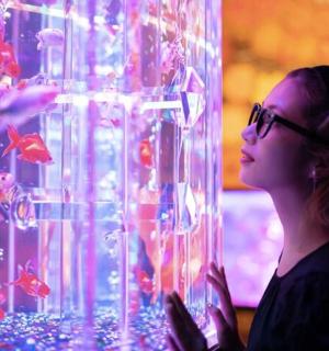 a woman is looking at a fish tank