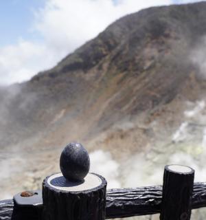 一块岩石坐落在木栅栏顶上