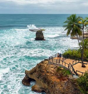 una platja amb palmeres i l'oceà