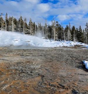 白雪覆盖的森林旁边的一堆雪